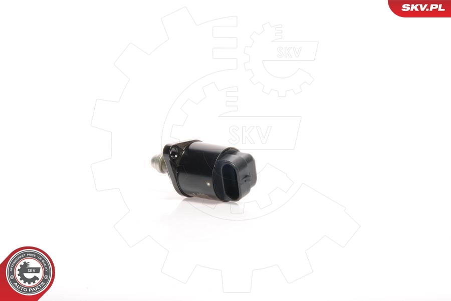 Idle Control Valve, air supply